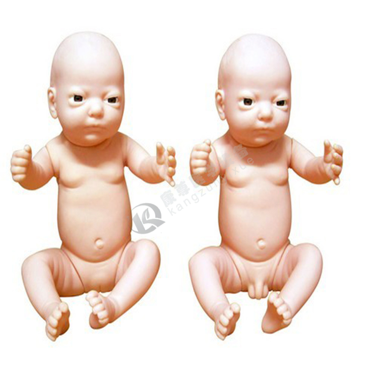 高级出生婴儿模型(男婴、女婴任选)