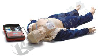AED复苏安妮 显示器和电脑报告仪